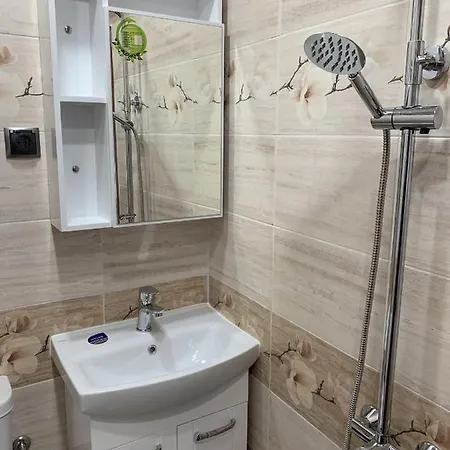 ани Penzion 3*